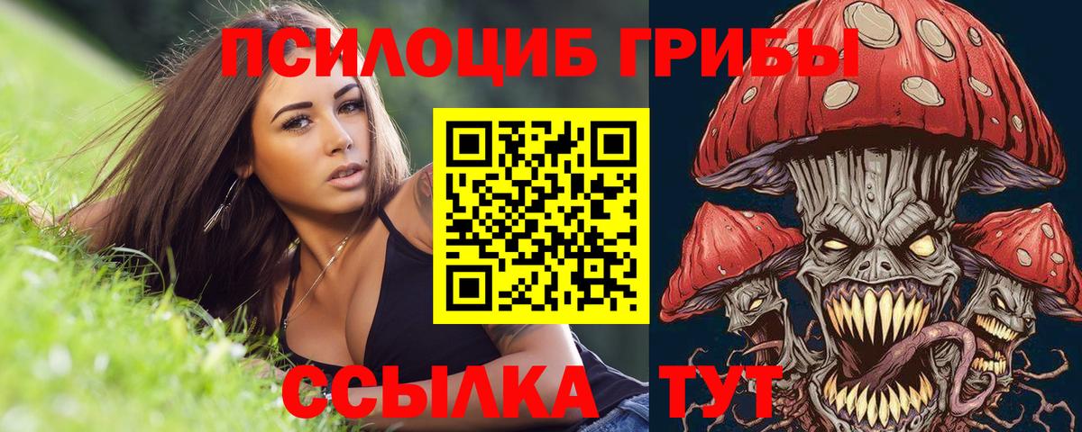 Псилоцибиновые грибы мицелий Зеленокумск
